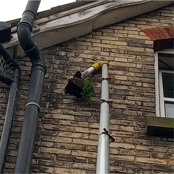 Gutter Cleaning Folkestone